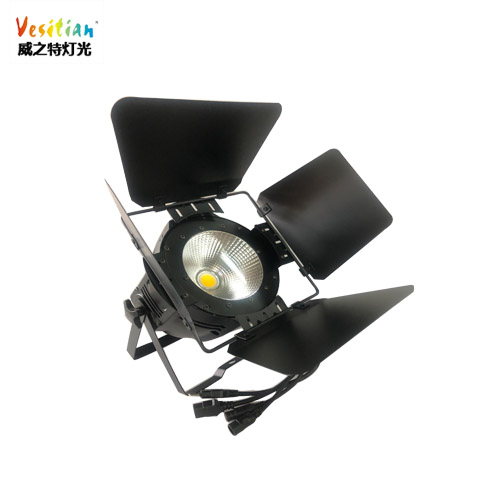 LED COB par light